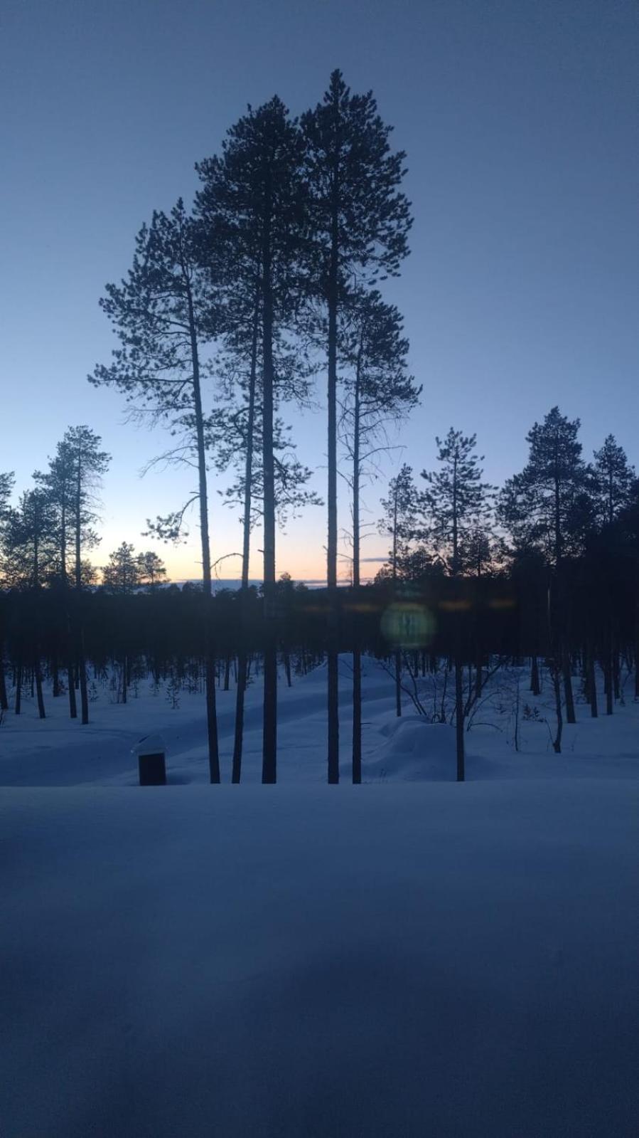 Villa Paadari Inari Esterno foto
